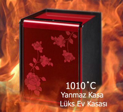ev kasa / ev kasası / çelik kasa